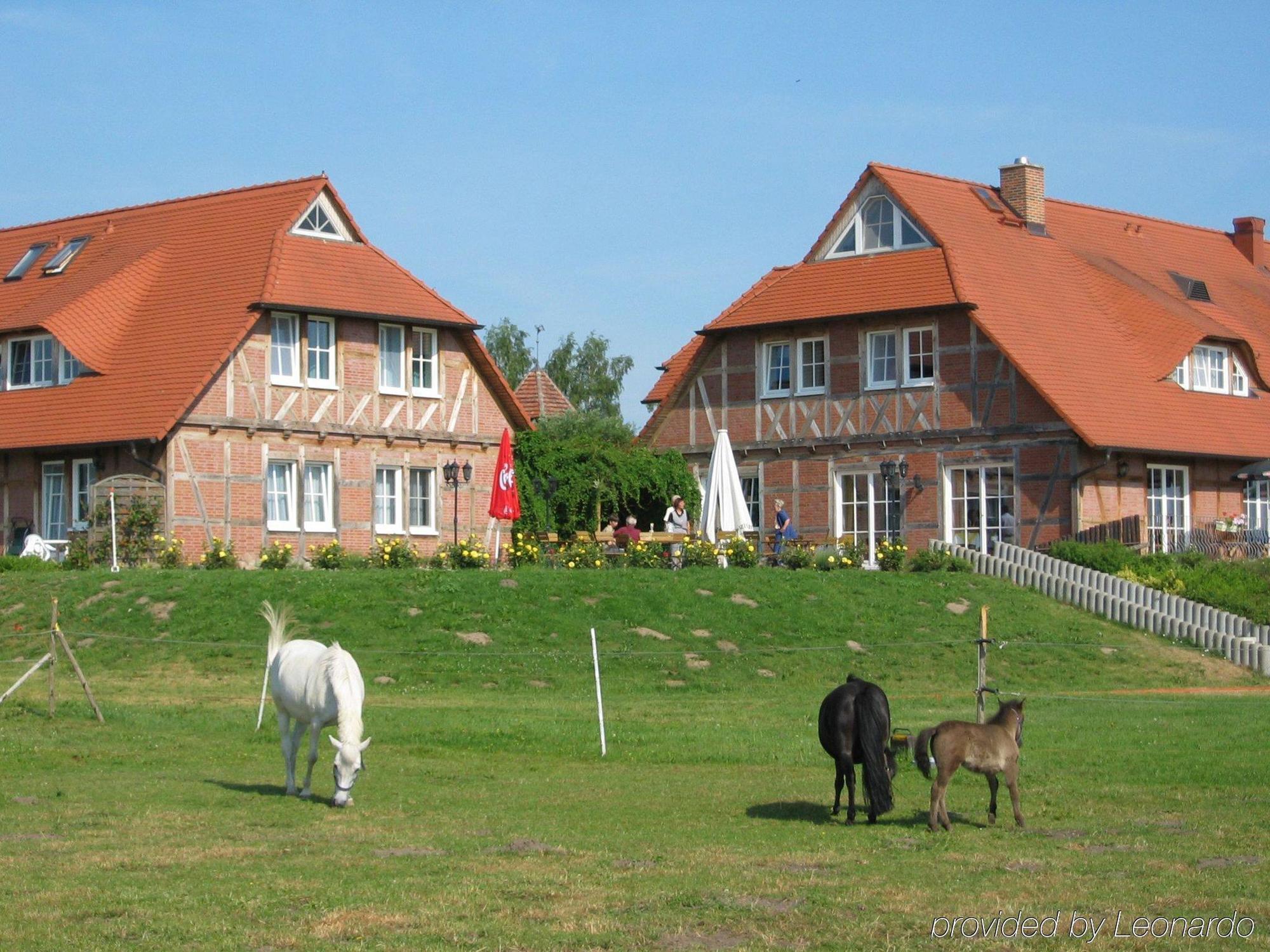 Flair Seehotel Zielow Ludorf Exterior photo